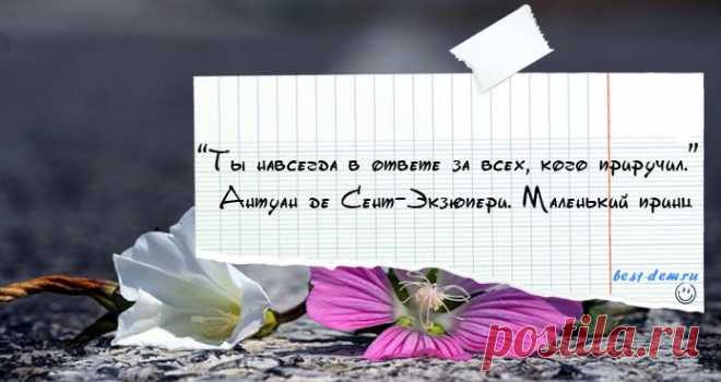 Цитаты Антуан де Сент-Экзюпери....