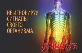 Софья – Google+