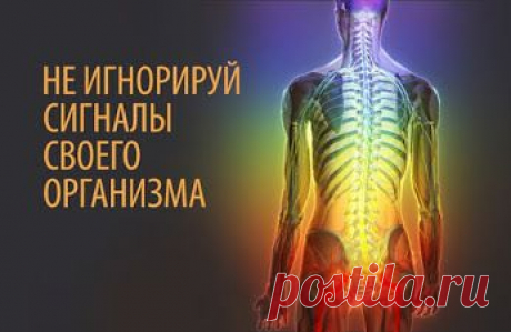 Софья – Google+