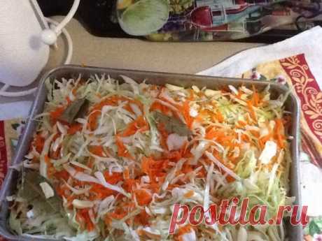 Закуски и бутерброды