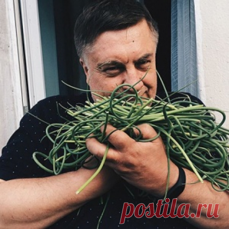 Чесночные стрелки: рецепты приготовления на зиму и лето - МирТесен