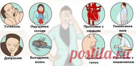 Щитовидная железа контролирует весь ваш организм! Вот как сохранить ее здоровой!