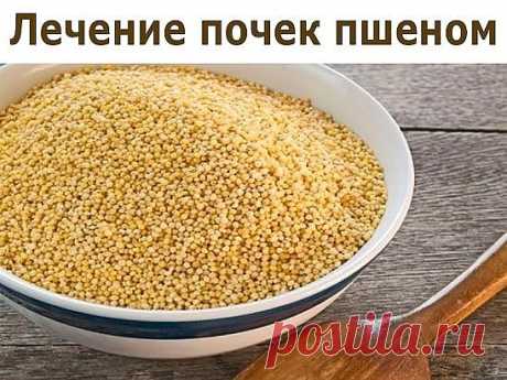 О ЧЕМ МОЛЧАТ ВРАЧИ- ЛЕЧЕНИЕ ПОЧЕК БЕЗ ХИМИИ -ПШЕНОМ !!!
Лечение почек пшеном очень эффективно. Пшено выводит камни и песок из почек, из мочевого пузыря, лечит цистит, помогает при женских заболеваниях.
Статья посвящена старинным, немного забытым методам лечения почек пшеном, которые можно применять и в наши дни.
1. Стакан пшена промыть теплой водой, высыпать в 3-литровую банку и залить все горячей водой. После этого настаивать при комнатной температуре, укрыв чем-то теплым...