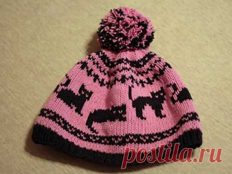 шляпа Yano4ka с кошками: Ravelry