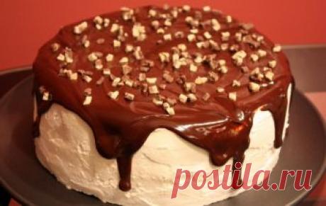 Шоколадный торт с мятным кремом / Торты / TVCook: пошаговые рецепты c фото
