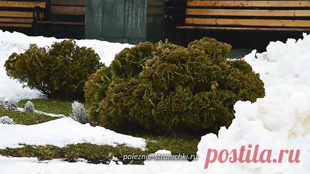 Народные приметы и запреты 31 января в день Афанасия. Что нельзя делать 31 января по народным поверьям и приметам в день Афанасия-ломоноса