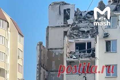 В рухнувшем саратовском доме спустя неделю нашли выживающую без еды и воды кошку