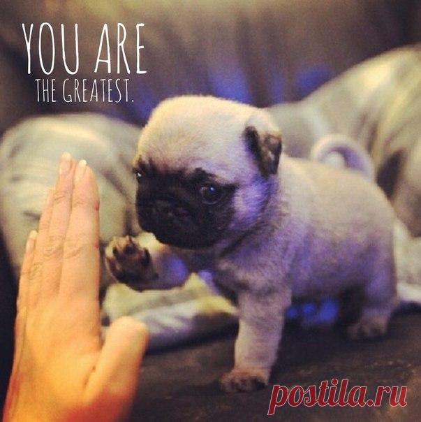 Как похвалить по-английски / Неформальный Английский