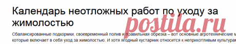 Календарь неотложных работ по уходу за жимолостью