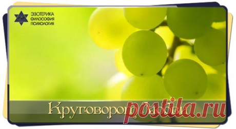 КРУГОВОРОТ ЛЮБВИ. Притча от Пауло Коэльо.