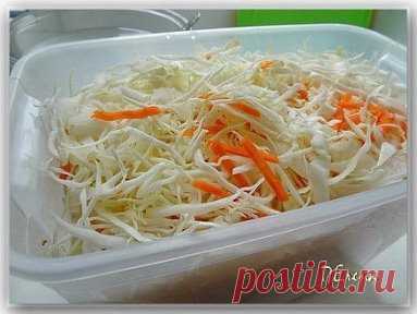 ВКУСНАЯ ХРУСТЯЩАЯ КВАШЕНАЯ КАПУСТА 
В РАССОЛЕ (С ВОДКОЙ!) 
Автор Елена Пантюхина 
Квашеная капуста по этому рецепту получается очень вкусная, хрустящая, а также довольно быстро готовится! Мять руками ее не придется, так как заквашивается она в рассоле. Рецепт очень простой и проверен годами! 
ИНГРЕДИЕНТЫ на 3-х литровую банку: 
- 2-2,3 кг белокочанной капусты (поздних сортов) 
- 1 средняя морковка 
РАССОЛ: 
- 1,5 л воды 
- 2 ст. ложки соли 
- 2 ст. ложки сахара 
- 2 ст. ложки водки. 
ПРИГОТ