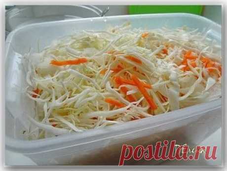 ВКУСНАЯ ХРУСТЯЩАЯ КВАШЕНАЯ КАПУСТА 
В РАССОЛЕ (С ВОДКОЙ!) 
Автор Елена Пантюхина 
Квашеная капуста по этому рецепту получается очень вкусная, хрустящая, а также довольно быстро готовится! Мять руками ее не придется, так как заквашивается она в рассоле. Рецепт очень простой и проверен годами! 
ИНГРЕДИЕНТЫ на 3-х литровую банку: 
- 2-2,3 кг белокочанной капусты (поздних сортов) 
- 1 средняя морковка 
РАССОЛ: 
- 1,5 л воды 
- 2 ст. ложки соли 
- 2 ст. ложки сахара 
- 2 ст. ложки водки. 
ПРИГОТ