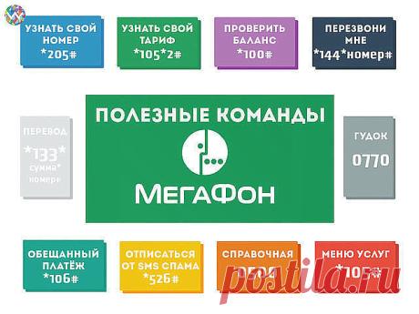 (24) Одноклассники