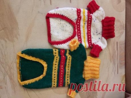 Свитер для йорка