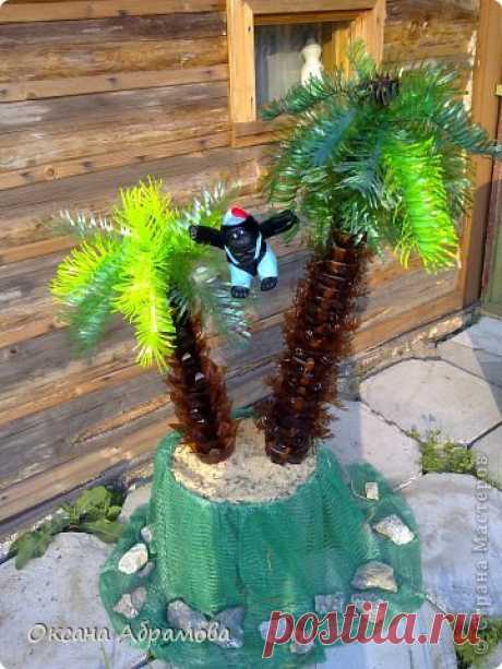 Мое "безобидное" увлечение пластиковыми бутылками началось с произрастания в нашем саду Чудо-Пальм.
С удовольствием, хочу познакомить вас, как я изготовила свои "пальмочки".
Это очень быстрый и увлекательный процесс, просто собирай, режь и режь бутылочки.....!  фото 1