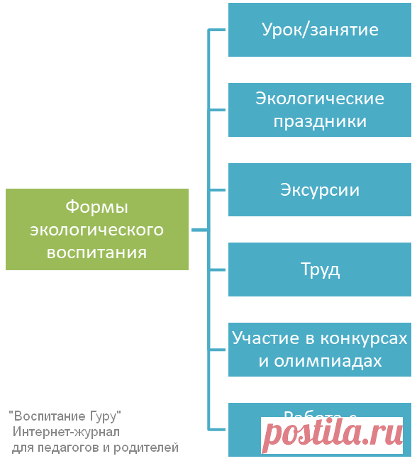 Методы, формы и средства экологического воспитания🌳🌎 #дети #воспитание #экология  #родителям #мамам
