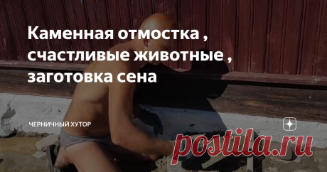 Каменная отмостка , счастливые животные , заготовка сена