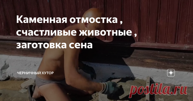 Каменная отмостка , счастливые животные , заготовка сена