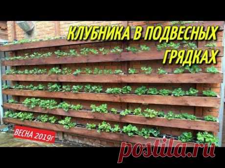 КЛУБНИКА В ПОДВЕСНЫХ ГРЯДКАХ/Весна-апрель.