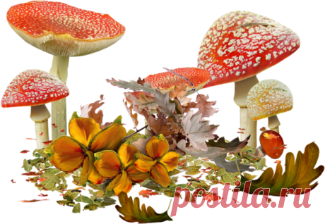 Яндекс.Фотки