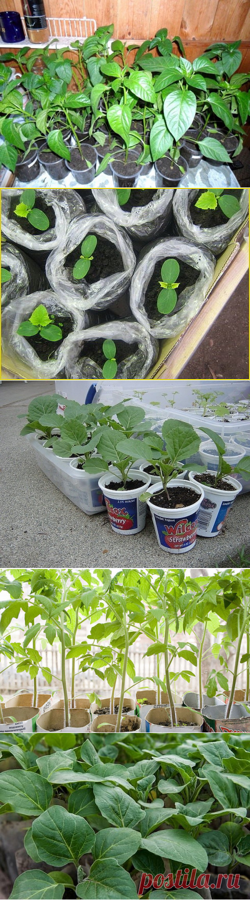 Одноклассники