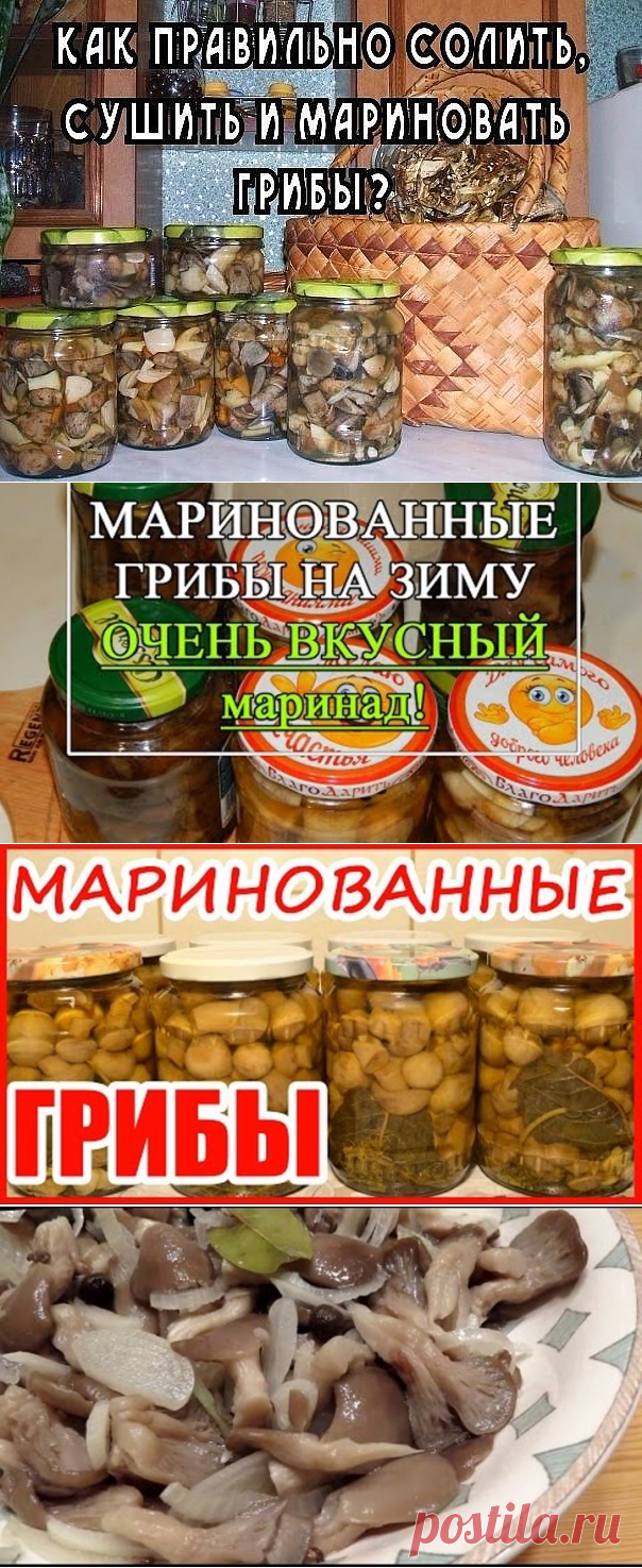 Одноклассники