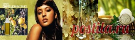 Лечение волос в салоне - залог здоровых и красивых локонов! Здоровые блестящие волосы играют такую же важную роль, как и красивая улыбка. Они являются неотъемлемой частью образа каждого современного человека. Ни один самый дорогой костюм, ни одно самое изысканное платье не будут смотреться выигрышно в сочетании с неухоженными или поврежденными волосами, особенно мочалистыми, или сухими либо жирными волосами, оставляющие следы перхоти на одежде, или тонкими и поредевшими волосами, просвечивающие