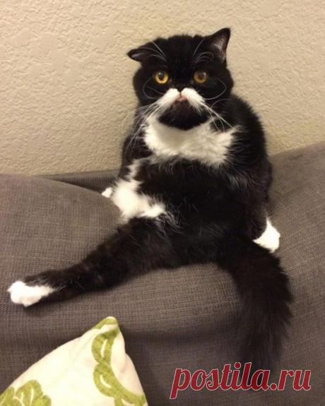 Излюбленные позы.