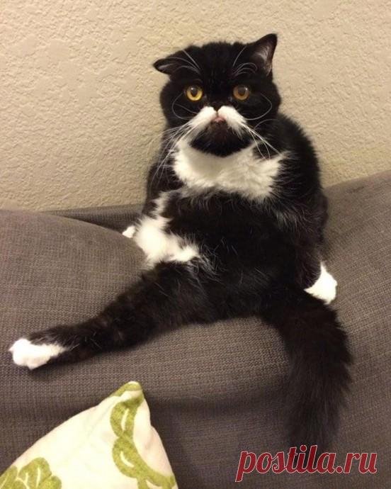 Излюбленные позы.