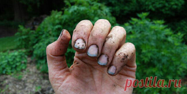 Как отмыть руки после огорода - СадОгорода.NET Работа в огороде занимает много сил и времени, ну а после еще и приходится сталкиваться с такой проб