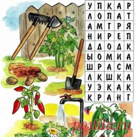 Учитель начальных классов