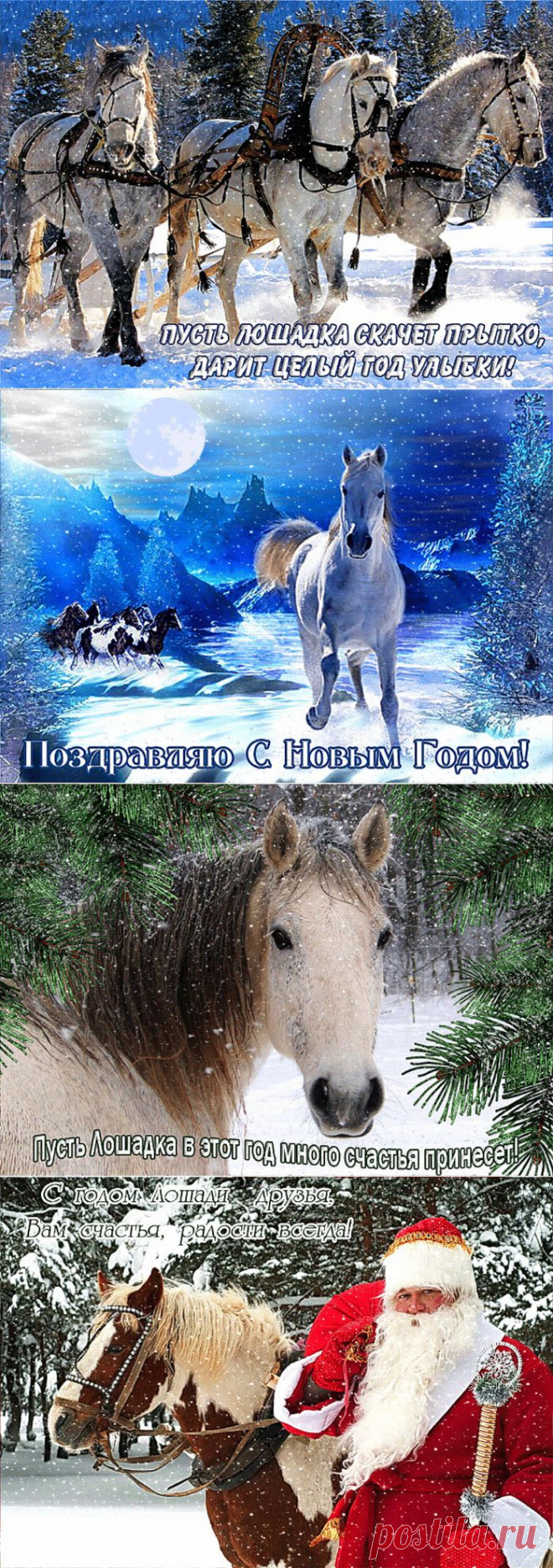 сообщение Логово_Белой_Волчицы : С наступающим Новым 2014 годом! (15:05 30-12-2013) [2734493/305462374] - icheremnykh@bk.ru - Почта Mail.Ru