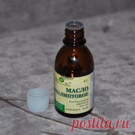 ЧЕМ ПОЛЕЗНО ЭВКАЛИПТОВОЕ МАСЛО?