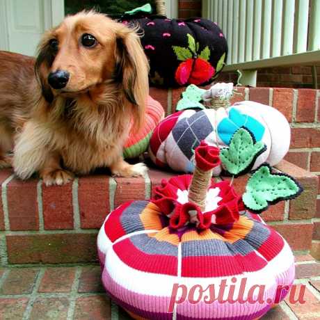 Тыква своими руками из свитера. Мастер-класс Традиционный декор на Хэллоуин - это, конечно, тыквы. А как сделать тыкву своими руками быстро? Есть, есть метод, используя который вам гарантирован практически мгновенный резульатат, как по мановению волшебной палочки.
И при этом не нужно уметь, вязать, шить, валять, вышивать. Чудо, не правда ли? Конечно, как вы уже наверно, догадались, это тыквы из старых свитеров.
На фотографии вы как раз видите, что получилось по этому реце...