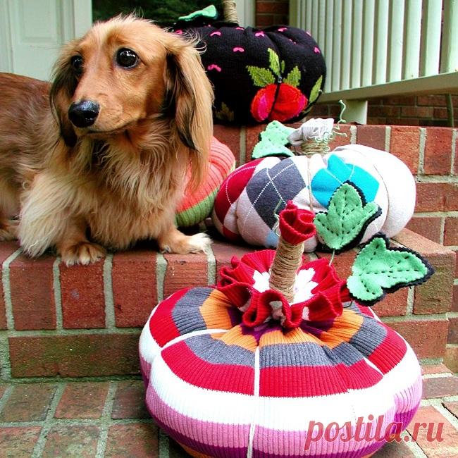 Тыква своими руками из свитера. Мастер-класс Традиционный декор на Хэллоуин - это, конечно, тыквы. А как сделать тыкву своими руками быстро? Есть, есть метод, используя который вам гарантирован практически мгновенный резульатат, как по мановению волшебной палочки. 
И при этом не нужно уметь, вязать, шить, валять, вышивать. Чудо, не правда ли? Конечно, как вы уже наверно, догадались, это тыквы из старых свитеров.
На фотографии вы как раз видите, что получилось по этому реце...