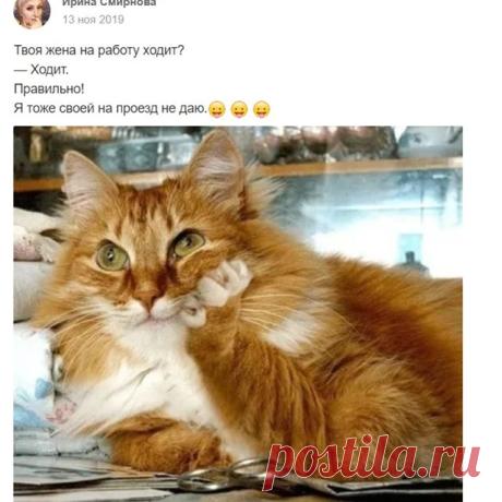 Нет описания фото.