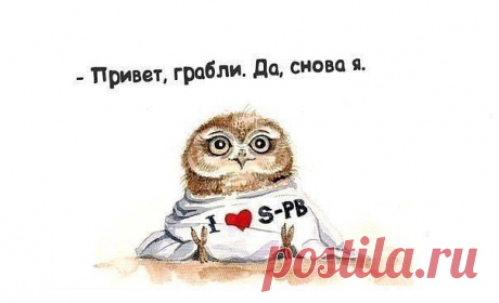 ♡n ♔ g♡
38 лет, Россия, Владикавказ