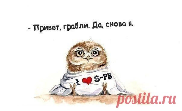 ♡n ♔ g♡
38 лет, Россия, Владикавказ