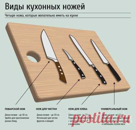 Какие кухонные ножи бывают. Разновидности // ОПТИМИСТ