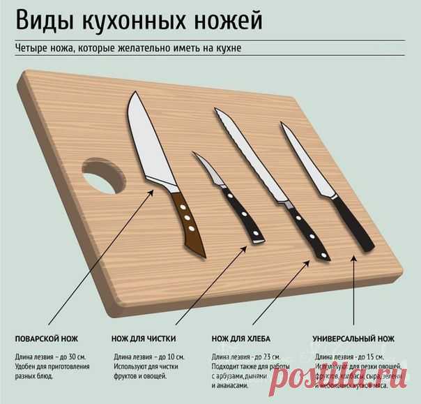 Какие кухонные ножи бывают. Разновидности // ОПТИМИСТ