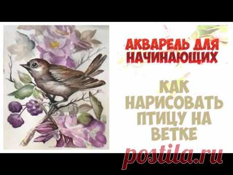Как нарисовать птицу на ветке. Скетчинг акварелью для начинающих