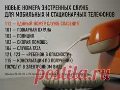 (1222) Pinterest