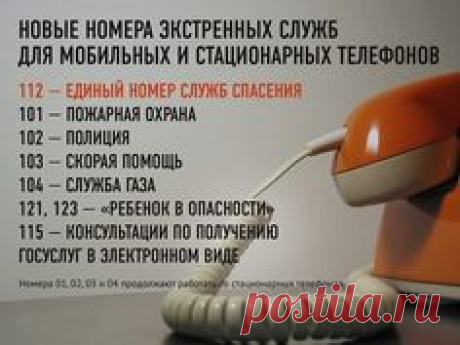 (1222) Pinterest