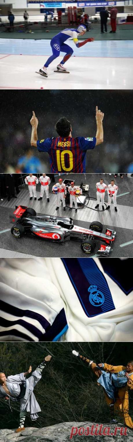 Дзюдо, Синхронное плавание, Рукопашный бой, Фитбол. (1/1) - Спортивный форум. - Спортивный сайт