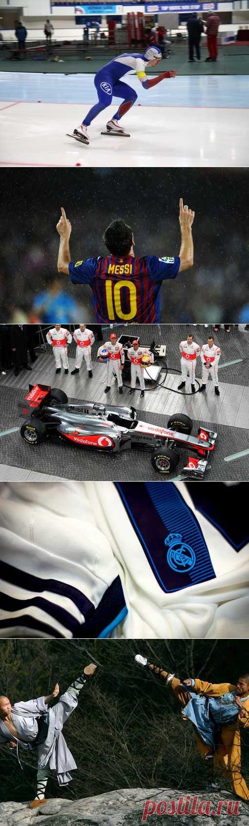 Дзюдо, Синхронное плавание, Рукопашный бой, Фитбол. (1/1) - Спортивный форум. - Спортивный сайт