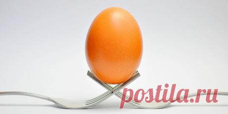 Zamene za jaja u receptima | LifePress magazin