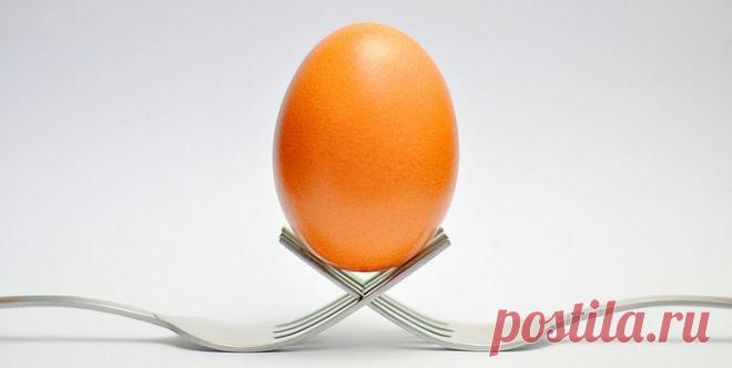 Zamene za jaja u receptima | LifePress magazin