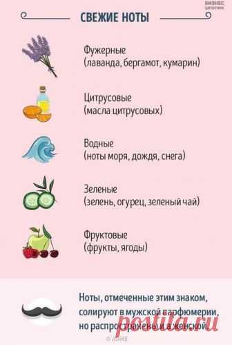 Рукoводство для тех, кто хочет разбираться в парфюме.