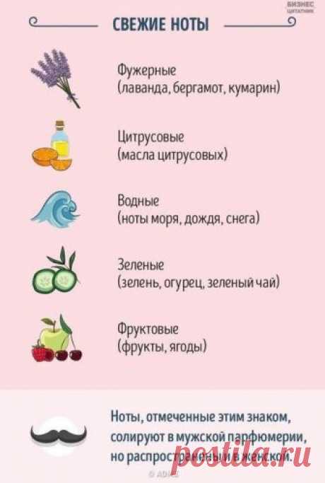 Рукoводство для тех, кто хочет разбираться в парфюме.