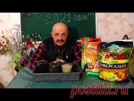 Забудьте о черной ножке рассады !